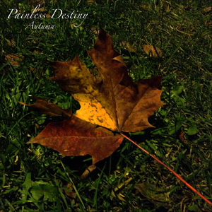 嘿咻香蕉视频网站免费
